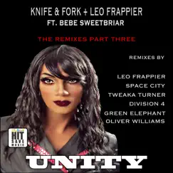 Unity (feat. Bebe Sweetbriar) [Division 4 Remix] Song Lyrics