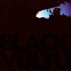 Black Vultures - EP by Daniel Norgren album reviews, ratings, credits