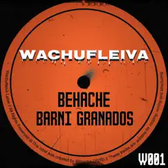 Wachufleiva 1 - EP by Barni Granados & Behache album reviews, ratings, credits