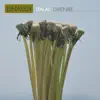Einaudi: Divenire - Single album lyrics, reviews, download