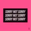 Sorry Not Sorry - Single album lyrics, reviews, download