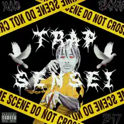 Trap Sensei by Yung Emkay album reviews, ratings, credits