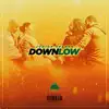 Down Low - Single album lyrics, reviews, download