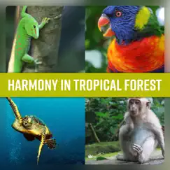 Harmony in Tropical Forest - Exotic Getaway, Maui Relaxation, Bliss of Endless Summer by Exotic Nature Kingdom album reviews, ratings, credits