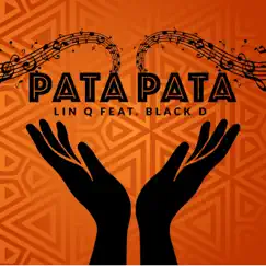Pata Pata (feat. Black D) - Single by Lin Q album reviews, ratings, credits