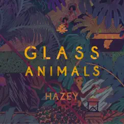 Hazey (feat. Rome Fortune) [Dave Glass Animals Rework] Song Lyrics