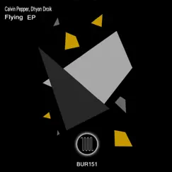 Flying - Single by Calvin Pepper & Dhyan Droik album reviews, ratings, credits