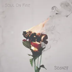 Soul on Fire - Single by Seanzy album reviews, ratings, credits