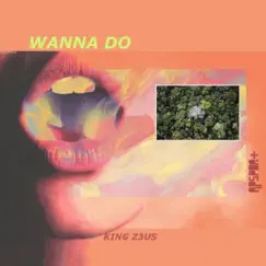 Wanna Do (feat. King Z3us) - Single by APSPDR+ album reviews, ratings, credits