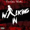 Walking In - Single album lyrics, reviews, download