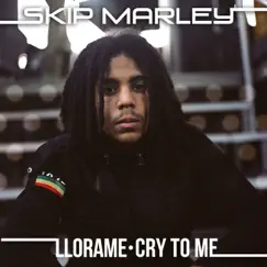 Llora Me (Cry to Me) [Kustom Mike Version] Song Lyrics