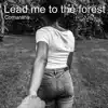 Lead Me to the Forest song lyrics