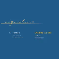 Sunrise (feat. DRS) - Single by Calibre album reviews, ratings, credits