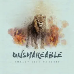 Unshakeable Song Lyrics