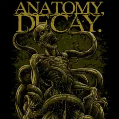 M.N.D. - Single by Anatomy, Decay album reviews, ratings, credits