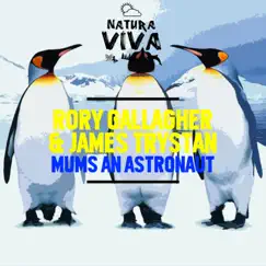 Mums an Astronaut - Single by Rory Gallagher & James Trystan album reviews, ratings, credits