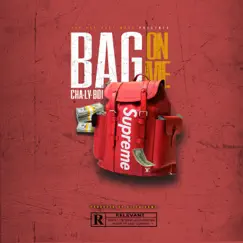Bag on Me - Single by Cha Ly Boi album reviews, ratings, credits
