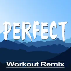 Perfect (Extended Workout Remix) Song Lyrics