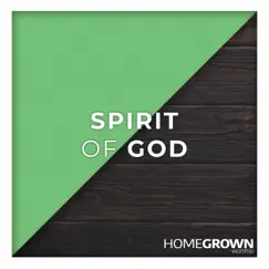 Spirit of God - Single by Homegrown Worship album reviews, ratings, credits