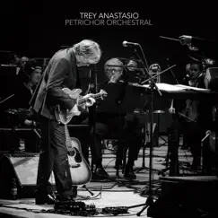 Petrichor Orchestral - EP by Trey Anastasio, SeattleMusic & David Sabee album reviews, ratings, credits