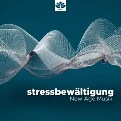 Stressbewältigung - New Age Musik mit Natur Geräusche, Wind, Regen, Seewellen, Vogelgesänge und instrumentale asiatische Musik by Meister der Schlaflieder album reviews, ratings, credits