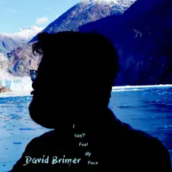I Can't Feel My Face - Single by David Brimer album reviews, ratings, credits
