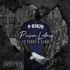 Prison Letters 13 Years a Slave album lyrics, reviews, download