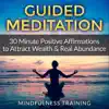 Guided Meditation: 30 Minute Positive Affirmations Hypnosis to Attract Wealth & Real Abundance - EP album lyrics, reviews, download