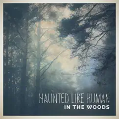 In the Woods - Single by Haunted Like Human album reviews, ratings, credits