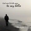 Just Won't Be the Same to Say Hello song lyrics