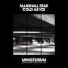 Cold As Ice - Single album lyrics, reviews, download