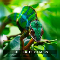 Full Exotic Oasis - Tropical Pleasure, Balinese Paradise, Aloha Adventure, Island of Life by Various Artists album reviews, ratings, credits