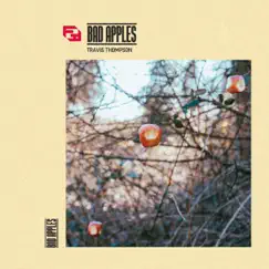 Bad Apples - Single by Travis Thompson album reviews, ratings, credits