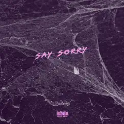 Say Sorry (feat. Rhys WZA) - Single by TJ album reviews, ratings, credits