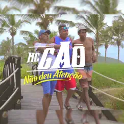 Não Deu Atenção - Single by Mc Gão album reviews, ratings, credits