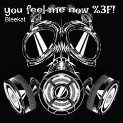 You Feel Me Now %3F! - Single by Bleekat album reviews, ratings, credits