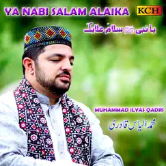 Ya Nabi Salam Alaika - Single by Muhammad Ilyas Qadri album reviews, ratings, credits