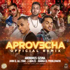 Aprovecha (Remix) [feat. Ozuna, Juanka, Juhn & Justin Quiles] - Single by Anonimus album reviews, ratings, credits