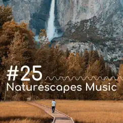 #25 Naturescapes Music - Zen Healing Sounds, Sleeping Relaxation to Fall Asleep to by Naturescapes for Mindfulness Meditation album reviews, ratings, credits