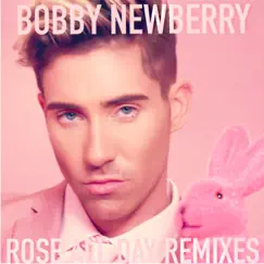 Rosé All Day (Chris Rosa Remix) Song Lyrics