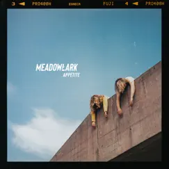 Appetite - Single by Meadowlark album reviews, ratings, credits