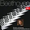 Beethoven: Piano Sonatas album lyrics, reviews, download