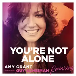 You're Not Alone (feat. Guy Scheiman) [Radio Edit] Song Lyrics