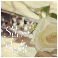 Silent Night - Single by Bevani album reviews, ratings, credits