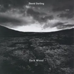 Dark Wood by David Darling album reviews, ratings, credits
