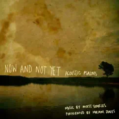 Now and Not Yet (feat. Miriam Jones) by Matt Searles album reviews, ratings, credits