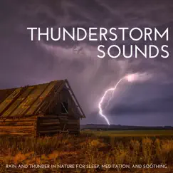 Stormy Weather Noises Song Lyrics