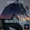 Ubambo Lwami (feat. Trecia) - Single album lyrics, reviews, download