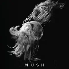 Mush - Single by Spare Parts For Broken Hearts album reviews, ratings, credits