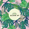Bloom EP album lyrics, reviews, download
